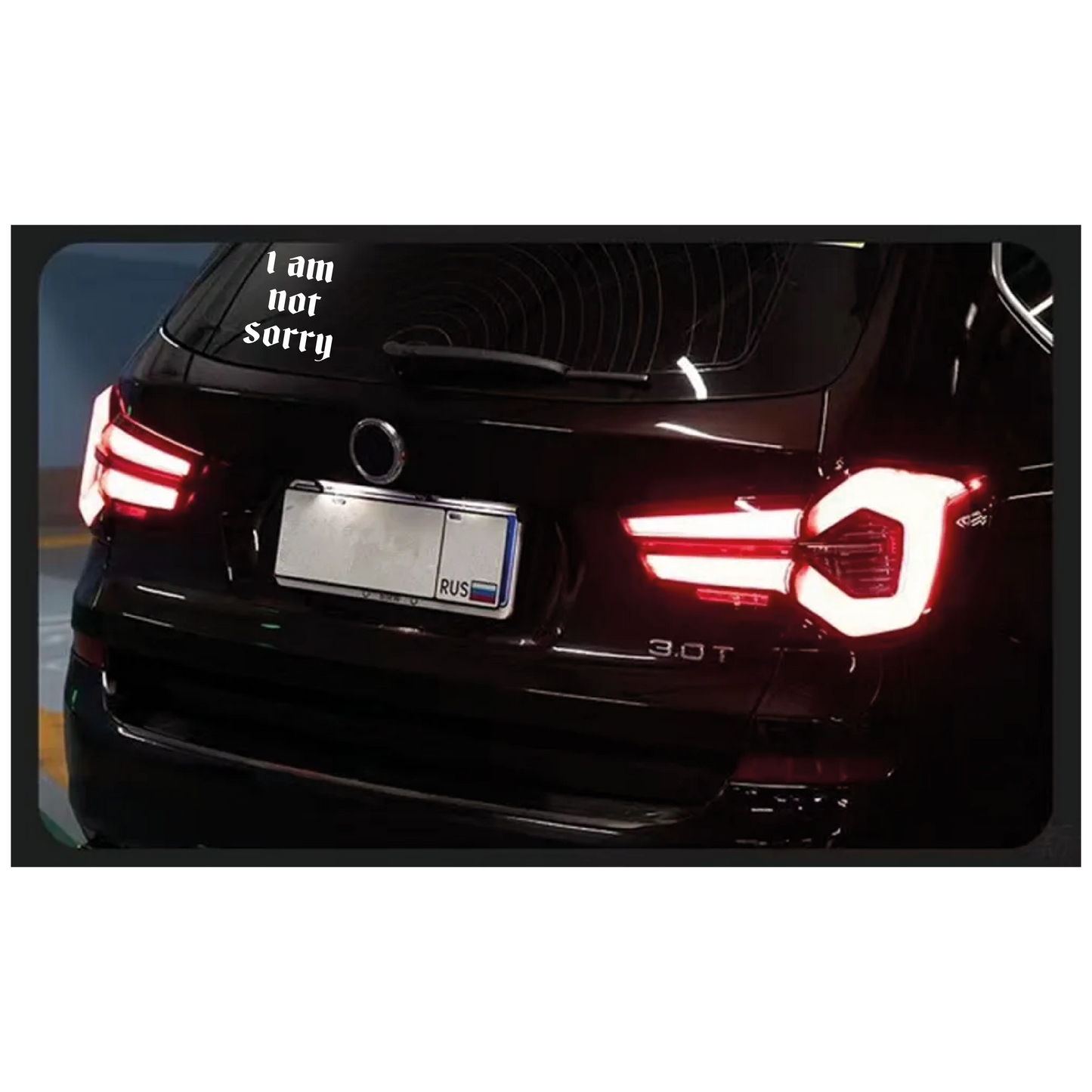 I am not sorry  31.8 CM x 13.2 CM